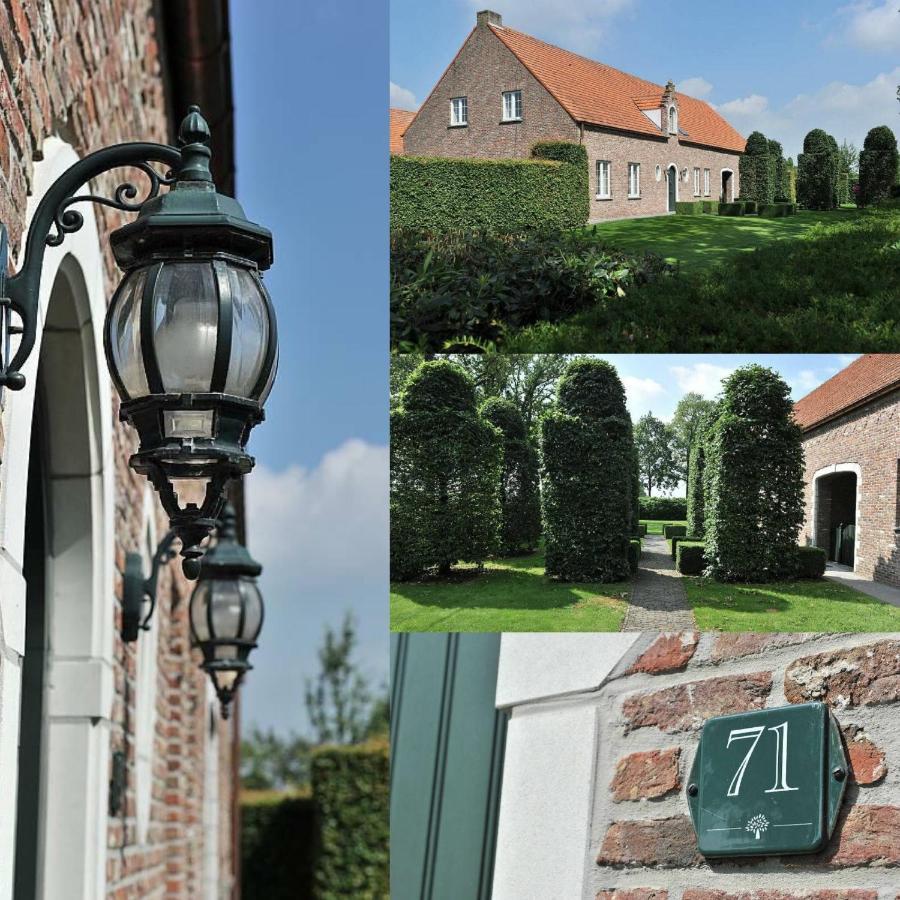 Villa71 Rijkevorsel Екстер'єр фото