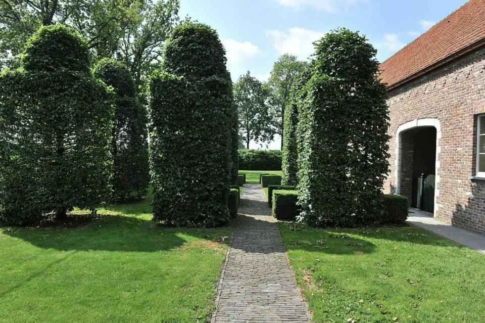 Villa71 Rijkevorsel Екстер'єр фото